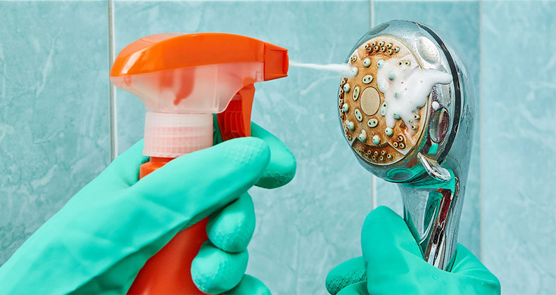 cleaning-shower-head