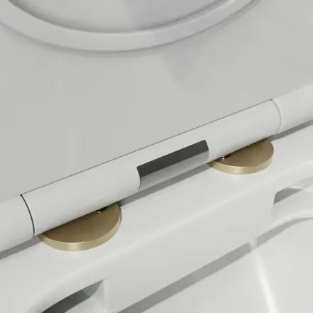 Toilet Accessories